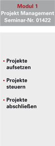 consultant_qualification-Senior_Modul1