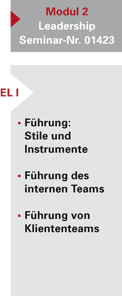 consultant_qualification-Senior_Modul2