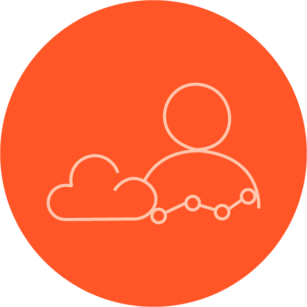 AI Solutions Architect