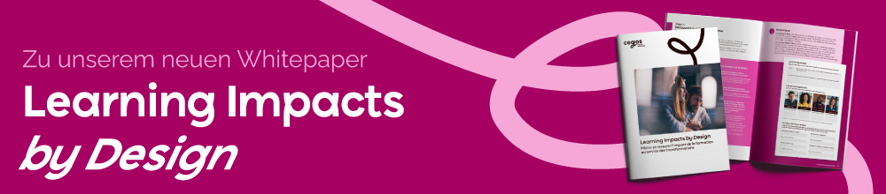 Zu unserem neuen Whitepaper: Learning Impacts by Design